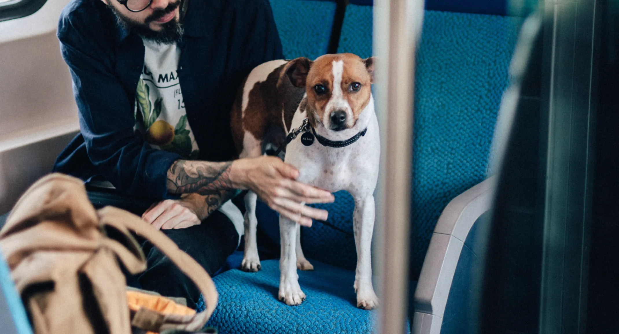 Dog on train 